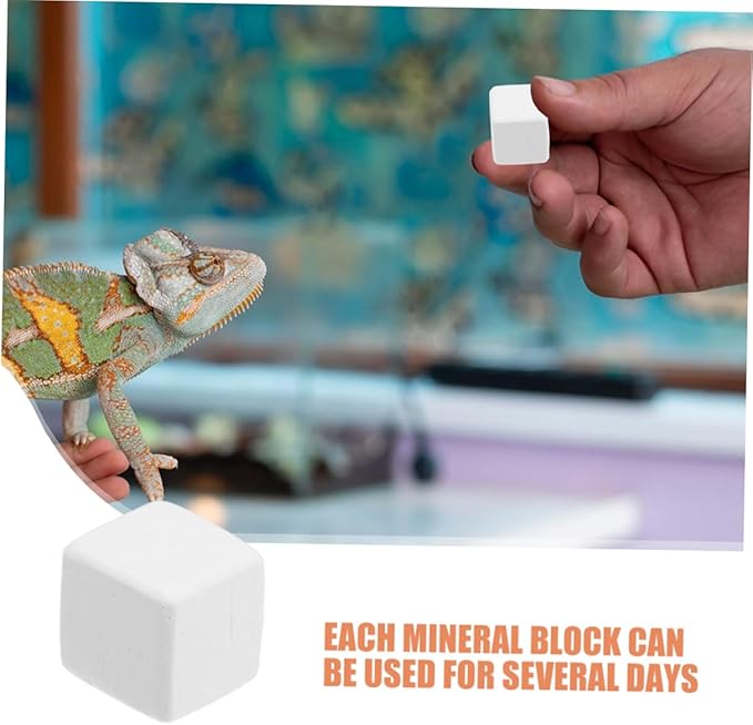 TOYANDONA 12pcs Reptile Natural Blocks for Crab and Reptile Habitats Essential Supplement Healthy Enclosure Accessories for