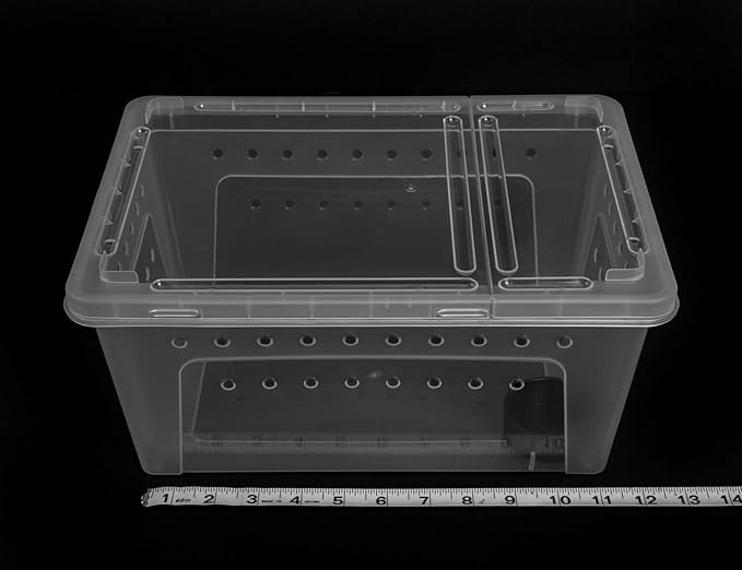 Large Clear Stackable Invertebrate & Reptile Keeper Box with Hinged Lid