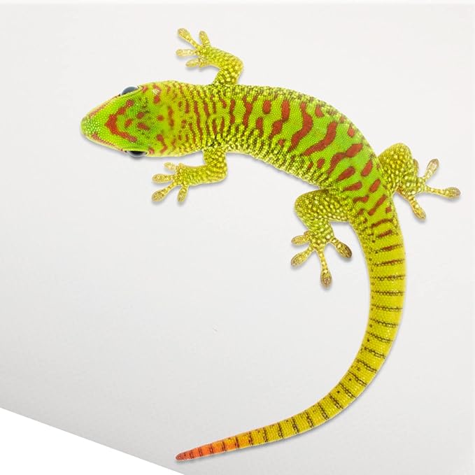 Reptile Carpet Substrate Mat for Leopard Gecko Snake Lizard and Turtle Sturdy Terrarium Liner Bedding for Reptile Tanks and Accessories