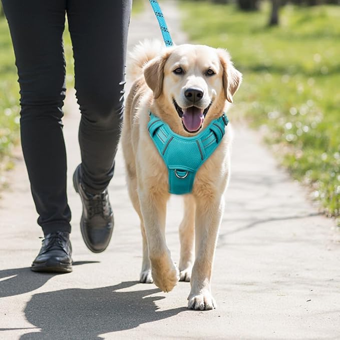 BARKBAY No Pull Dog Harness Large Reflective Dog Harness with Front Clip and Easy Control Handle for Walking Training Running with ID tag Pocket(Ocean Blue,XL)
