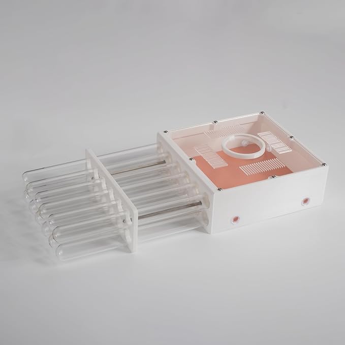 Professional Ant Farm Test Tube Nest, Clear Acrylic, 12 Tubes 20x200mm, Large Foraging Area with 6 Extension Ports