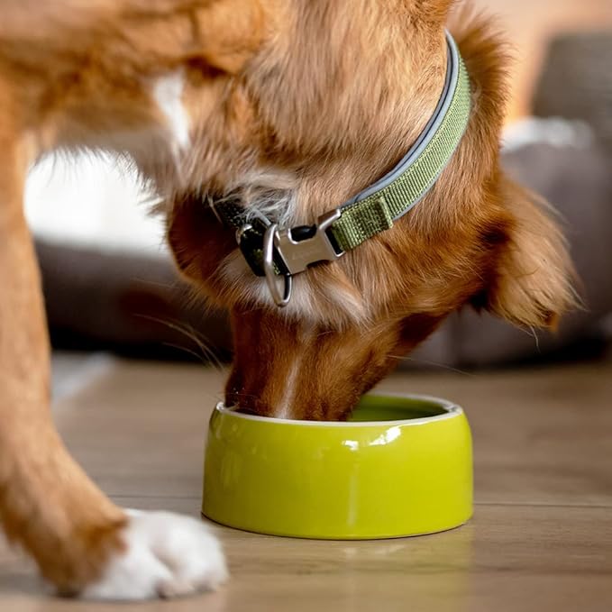 Nobby Ceramic Feeding Trough, 500 ml, Green