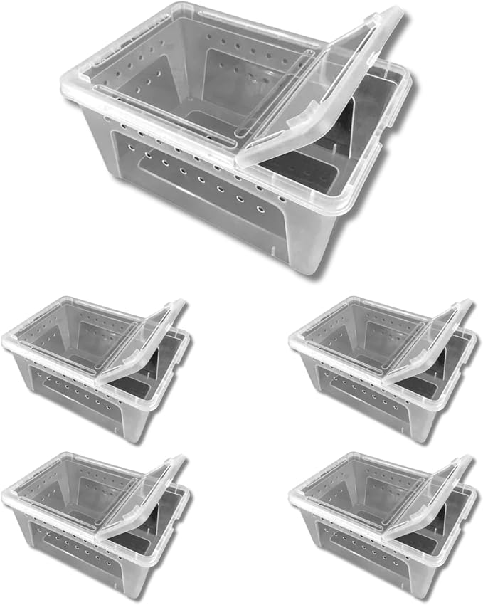 Jungle Bob - Clear Plastic Reptile Terrarium Box - Easy Pet Transportation - Enclosure for Small Herps - Side Ventilation - Clear View - Fade Resistant - Large - 12.5" x 8.5" x 6" - (5 Pack)