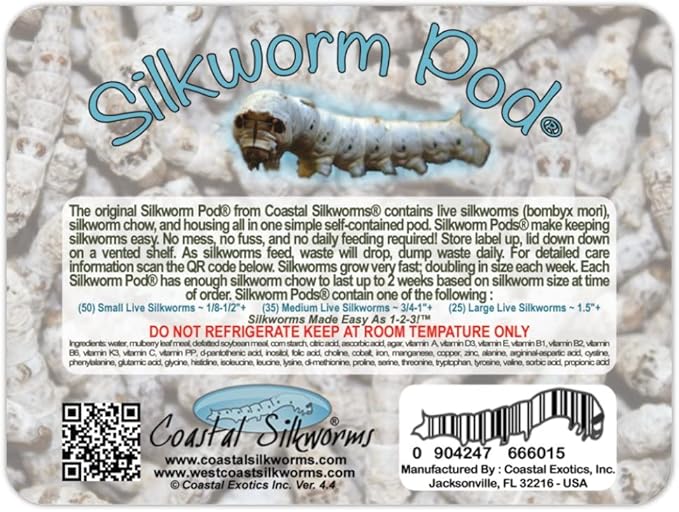 Small Silkworm Pod Live Silkworms & Food 50 Count Small (Pack of 1)