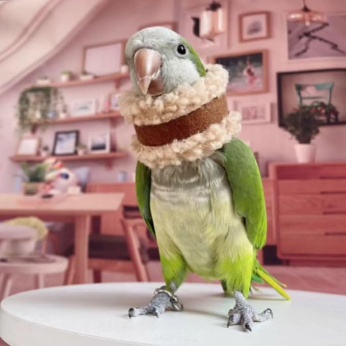 Pet Parrot Anti-Bite Elizabethan Collar, Neck Shield Anti-Grab Feather Plucking Wound Healing Safety Recovery Collar Cones for Budgerigar Lovebird Random Color (XL)