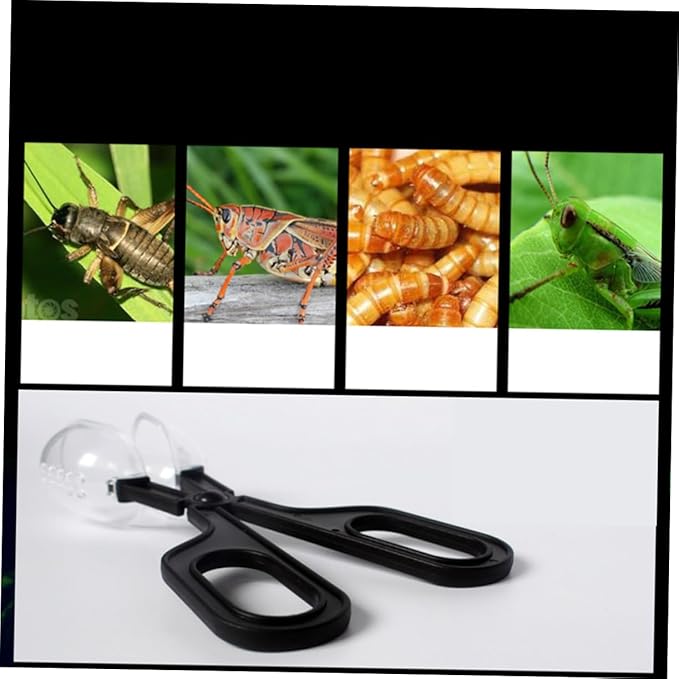 Alasum 4 Pcs Reptile Cleaning Clip Reptile Clip Feeding Tool Lizards Tongs