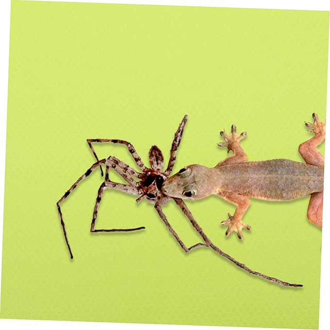 Reptile Carpet for Bearded Dragons Gecko Tank Accessories Non-Slip Terrarium Liner for Snakes and Lizards 48 x 24 Sturdy and Easy to Clean