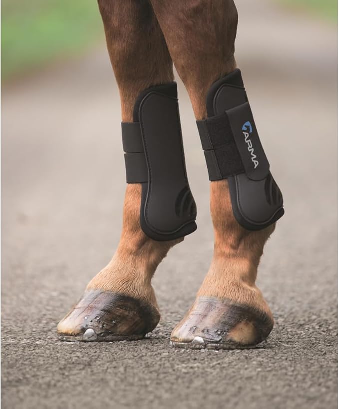 Shires ARMA Tendon Boot