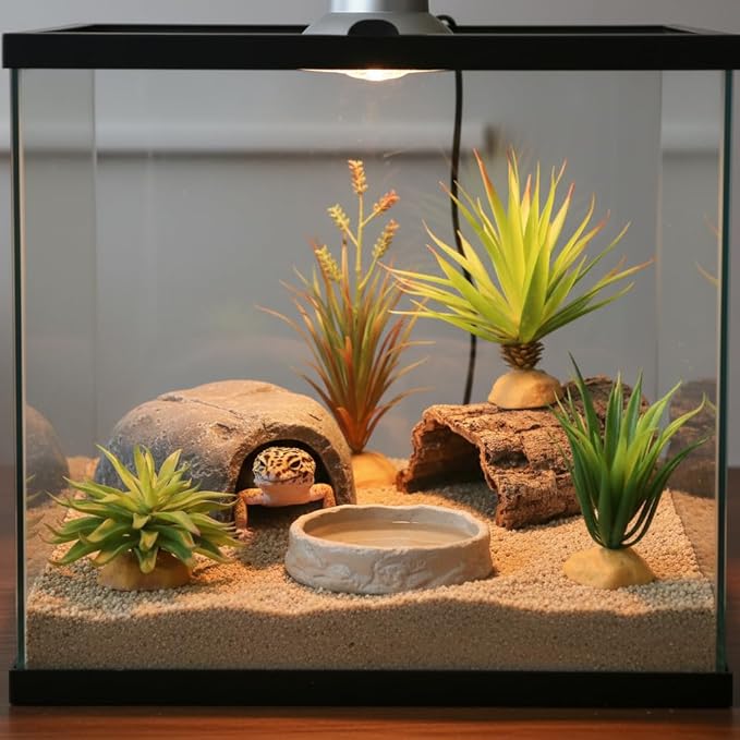 JIHAQUA Reptile Terrarium Decor 2-Piece Realistic Succulent Set,Lifelike Plastic Plants for Geckos, Bearded Dragons,Snakes,Turtles,Lizards,Insects Reptile Habitats