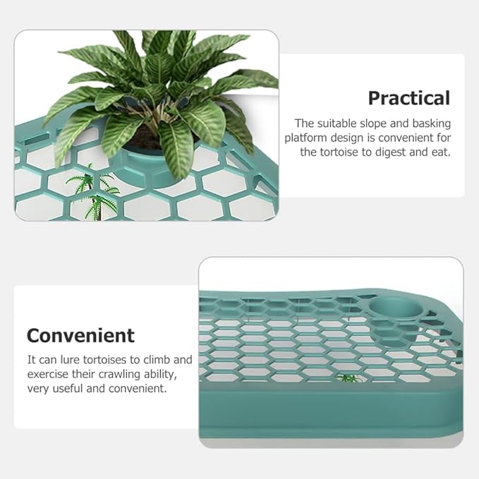 Mikikit Reptile Terrariums Reptile Terrariums Turtle Tank Aquarium, Turtle Habitat Reptile Plastic Terrarium Safe, Turtle Tank with Lid Tortoise from Climbing Escaping Glass Animals Reptisoil