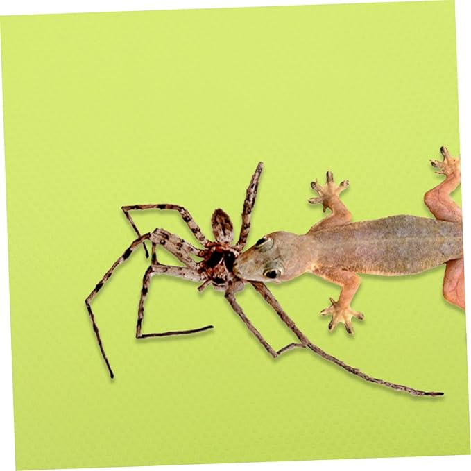 Reptile Carpet Mat for Terrarium Bedding Suitable for Lizards Snakes Tortoises and Geckos Easy to Clean Reptile Tank Accessory