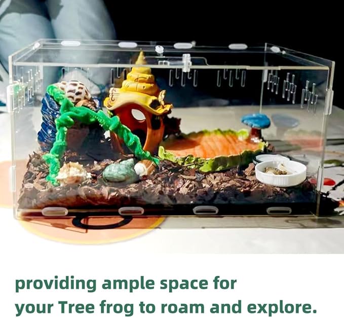 Jumping Spider Terrarium, Reptile Tank Habitat with Locking Acrylic Feeding Box for Tarantula, Isopod, Gecko, Snake (12x8x6)