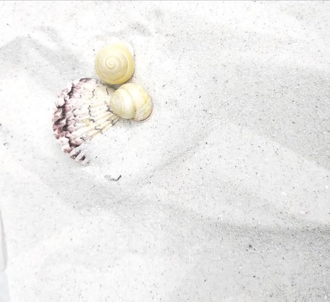 5 lbs. Hermit Crab Sand Substrate, All Natural Premium White Sand Mixture, for Hermit Crab Tanks