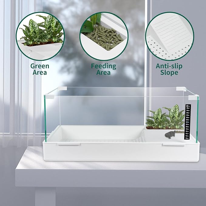 Scratch-Resistant Glass Turtle Tank (15.7×11.8×10 Inch) with Water Filter - Durable Reptile Habitat for Aquatic/Terrestrial Pets, Baby Turtles & Fish | Anti-Scratch Clear Terrarium Aquarium Combo