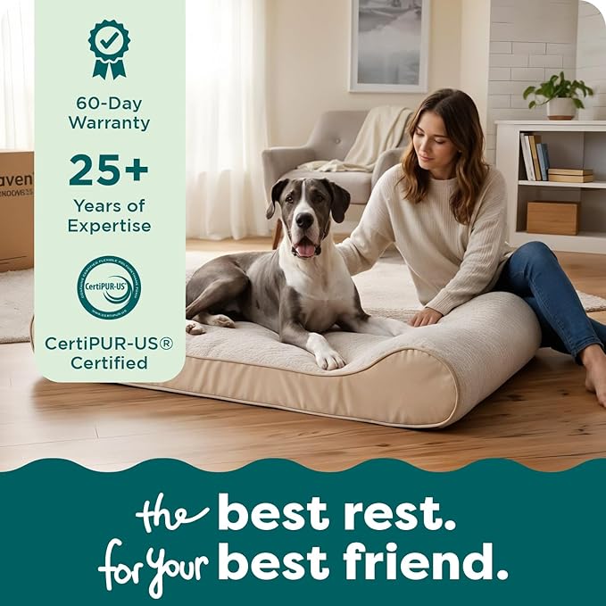 FurHaven Orthopedic Dog Bed for XX-Large Dogs, Luxe Lounger Contour Mattress with Medical-Grade Solid Orthopedic Foam for Joint Support, Removable Washable Cover - Jumbo Plus/XXL, Plush Suede, Cream