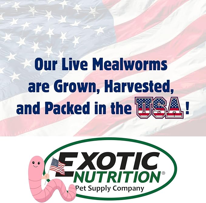 Exotic Nutrition 5000pk Live Mealworms (1/2")