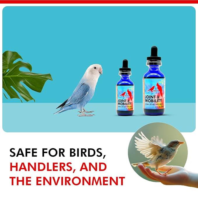 Morning Bird Joint & Mobility 1 fl oz – Herbal Liquid Supplement for Birds – Supports Joint Health, Muscle Comfort & Mobility – Ideal for Aging or Recovering Birds