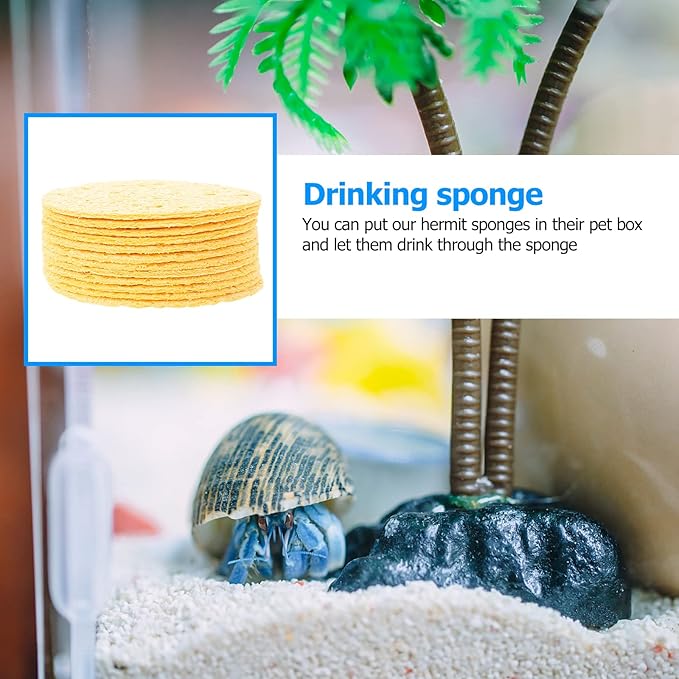 VILLCASE 12pcs Hermit Crab Sponges Pet Crab Sea Sponges Water Dish Provide Nutrients for Pet Tank Humidity Supplies