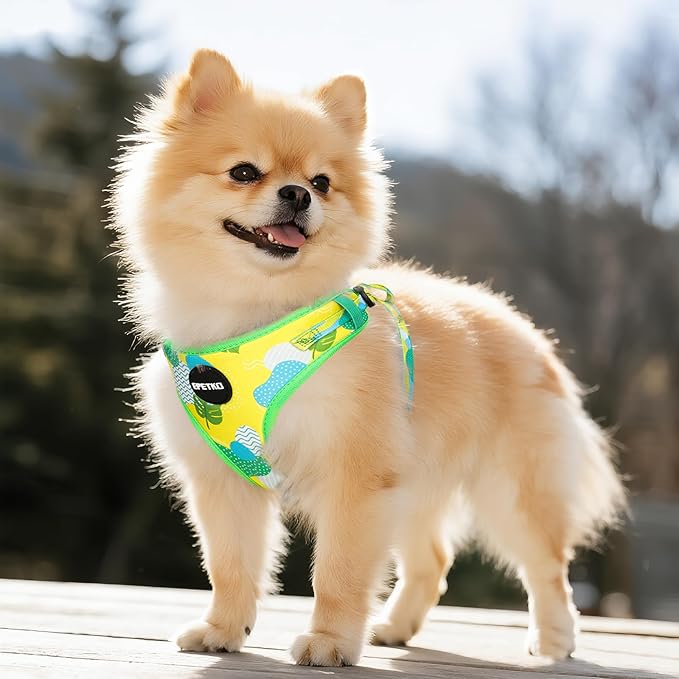 Small Dog Harness and Leash Set of 6, No Pull Soft Lightweight Mesh Puppy Harness, Adjustable Cute Floral Pattern Pet Harness for Small Medium Dogs (Green Leaf, L)