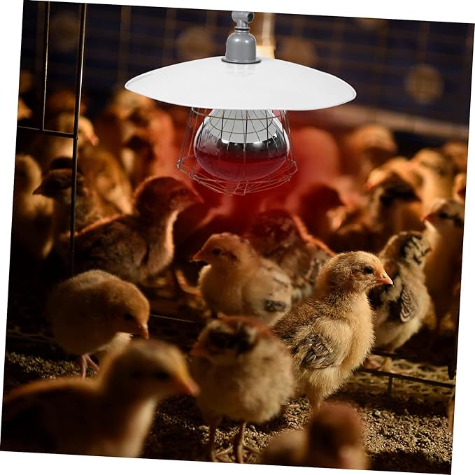 DOITOOL 1pc Livestock Incubator Heating Lamp for Pig Cage Durable Shade Socket Efficient Warmth for Reptiles and Pets Easy to Operate Heat Light