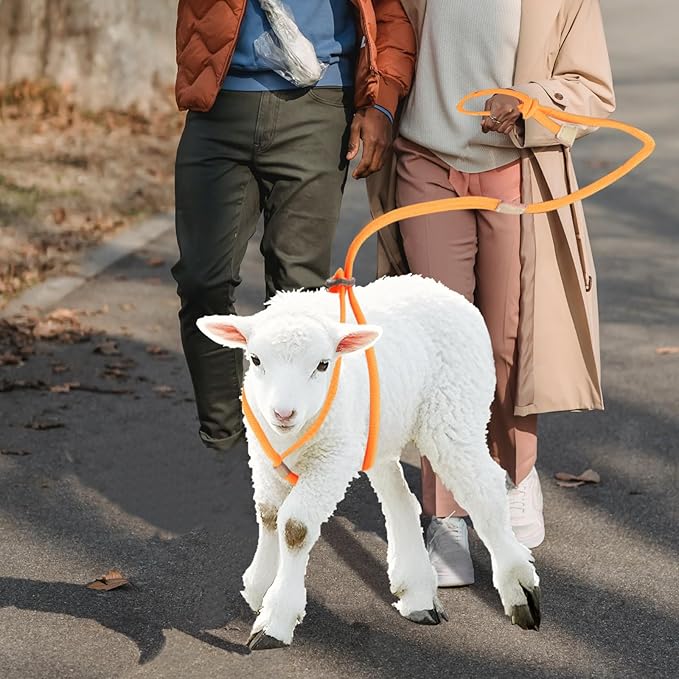 Goat Harness, Goat Supplies, Goat Harness for Walking, Washable Goat Leash, Goat Accessories, Livestock Supplies for Goats, Sheeps