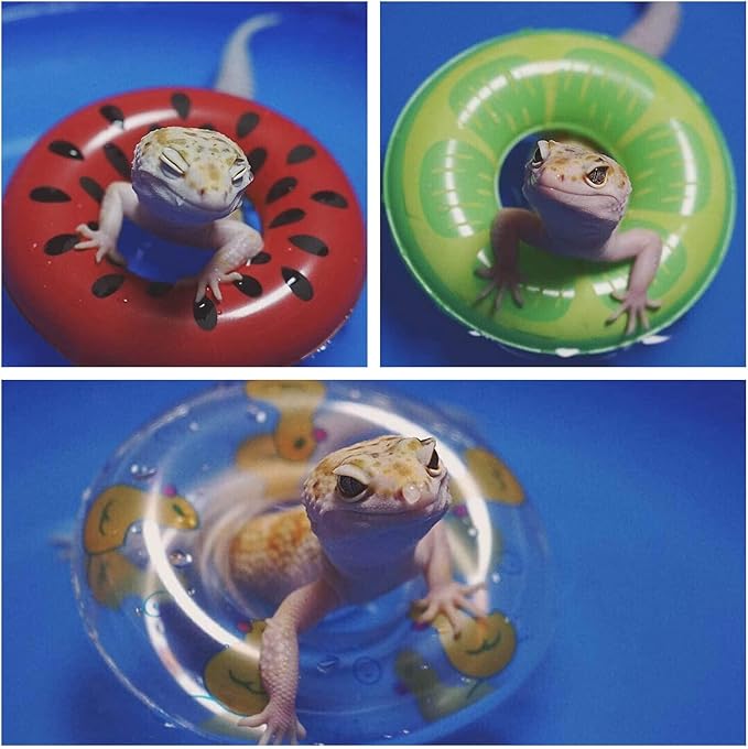 Bearded Dragon Swimming Pool with Inflatable Float Set - Foldable Collapsible Bathing Cooling Pool Bath Tub Reptile Collar Ring for Lizard Amphibians Grooming Health Supplies (30x10cm(11.8''x3.9''))