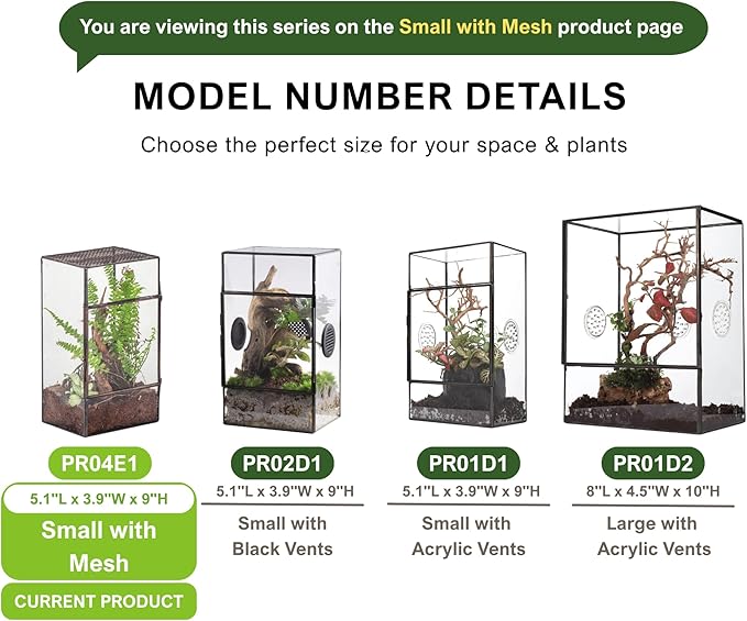 NCYP Glass Terrarium with Door and Mesh for Small Insects - 5.1 x 3.9 x 9 Inches Rectangle Reptile Habitat, Black - Modern Home Tabletop Decor (Terrarium Only)