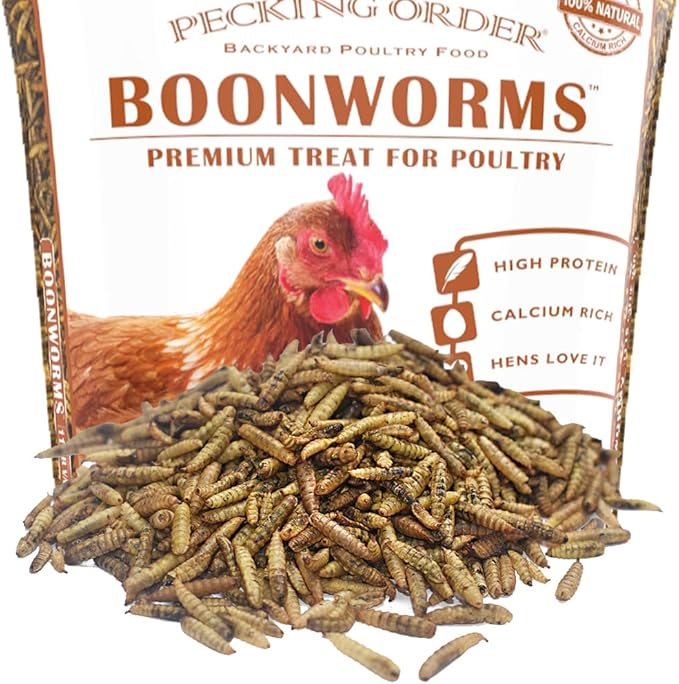 Boonworms Treat for Chickens are Protein and Calcium Rich Black Soldier Fly Larvae to Support Laying Hens (11 LB)