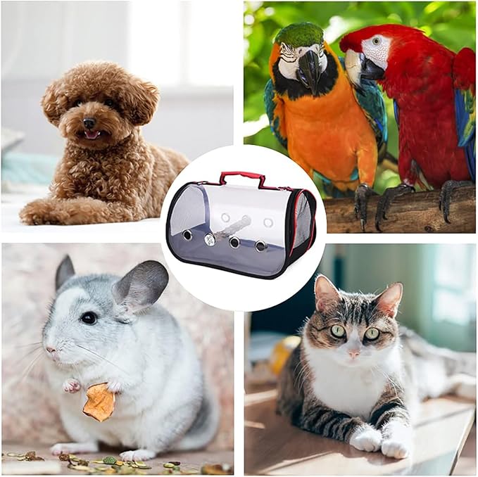 Bird Carrier Travel Cage, Small Bird Carrier, Portable Transparent Carrier Cage Pet Hamster Breathable Out Bag Suitcase for Parakeet, Parrot, Cockatiel, Guinea Pig for Hiking (Size : Small)