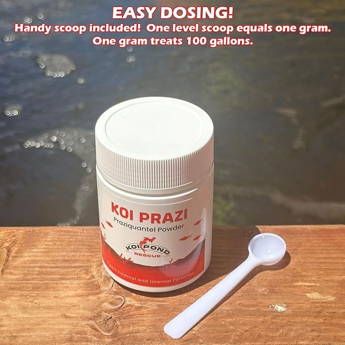 Generic KOI PRAZI (100 Grams) Praziquantel Powder for Pond & Aquarium, Effective Fish Treatment for Flukes & Bacterial Infections in Koi and Ornamental Fish, White