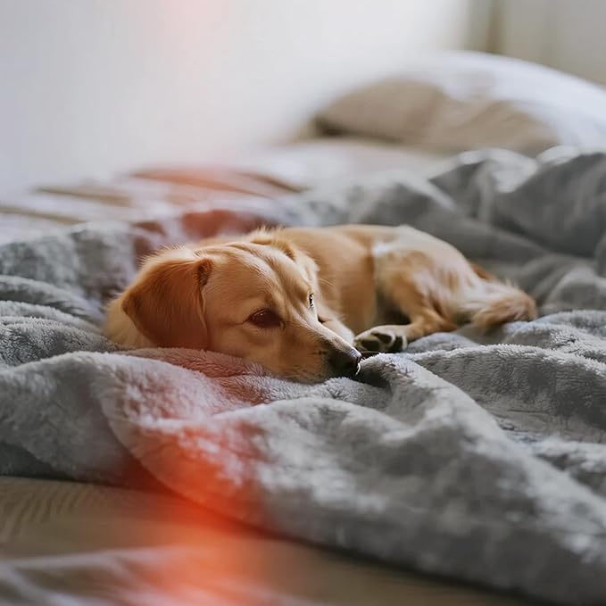 gogobunny Waterproof Bed Blanket, Reversible Sherpa Fleece Throw Blanket for Dog Puppy Cat, Furniture Cover Protects Bed Couch Sofa from Liquid Pee and Pet Fur (Grey, 90x108 inches)