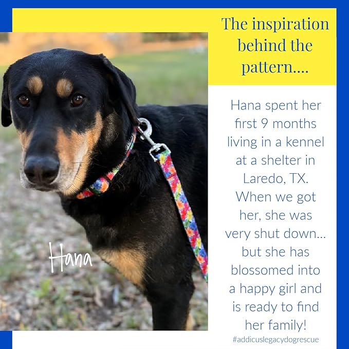 Lucky Love Dog - Adjustable Dog Collar with Easy Click Buckle for Small Dogs, Durable, & Comfortable for Male & Female Dogs, Pet Collar for Puppies & Adult Dogs - Hana, Small