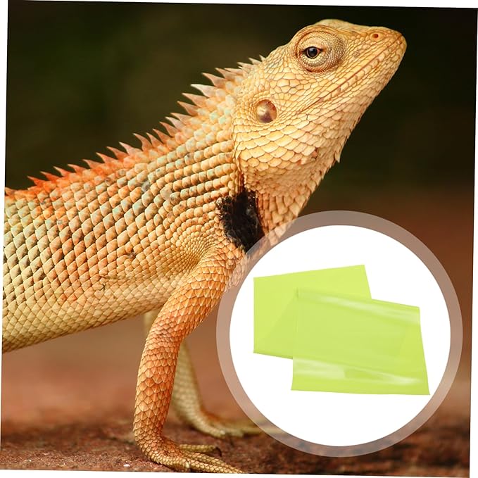 Reptile Terrarium Pad Fit Non-Abrasive EVA Carpet Mat for Bearded Dragon Tank Flooring Soft Cage Liner for Lizard Bedding and Reptile Hides Easy-Maintain