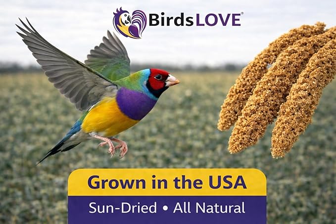2lbs Wholesome Spray Millet for Birds – Grown, Harvested & Packed in The USA – 100% Natural, Sun‑Dried Bird Treat – Foraging Millet for Parakeets, Cockatiels, Conures, Budgies & Parrots