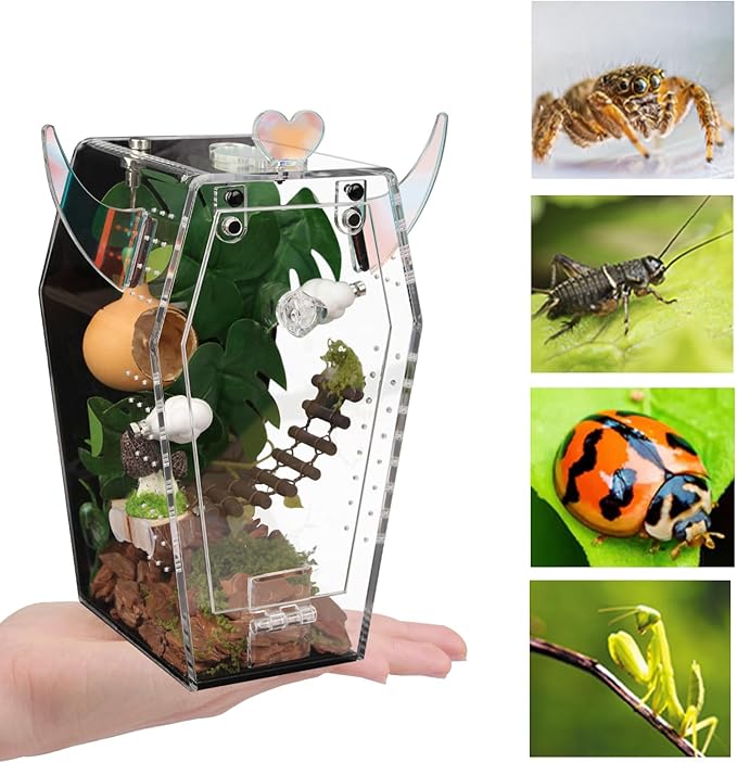 Acrylic Jumping Spider Enclosure,3mm Clear Coffin Terrarium with Magnetic Door & Feeding Hole, Secure Habitat for Jumping Spiders, Mantis, Small Tarantulas