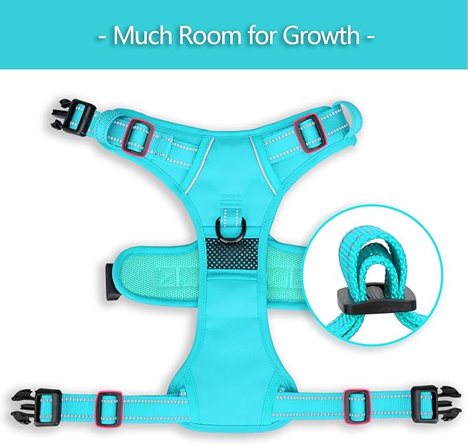 PoyPet No Pull Dog Harness, No Choke Reflective Dog Vest, Adjustable Pet Harnesses with Easy Control Padded Handle for Small Medium Large Dogs(Mint Blue Matching Trim,XL)