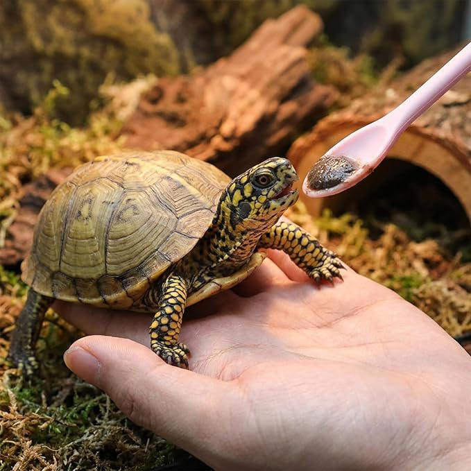 EupHHonycs 2Pcs Crested Gecko Food Mixing Spoon Long Handle Reptile Fruit Mixing Stirring Food Feeding Spoon Feeding Tool Fit Crested Gecko Gargoyle Bearded Dragon