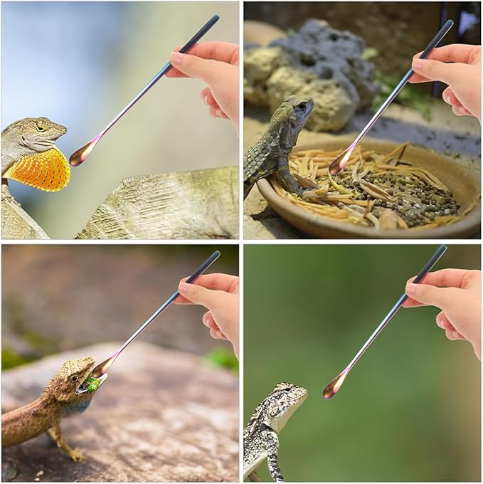 BESPORTBLE 3pcs Reptile Care Small Pet Feeding Spoon Stainless Steel Lizard Food Scoop Comfortable Handling