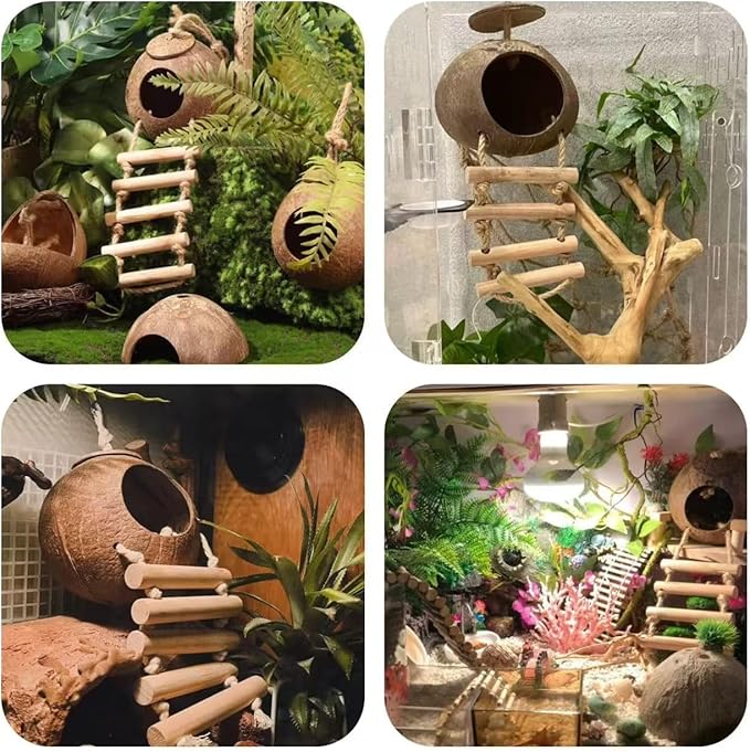 10PCS Crested Gecko Tank Accessories Set – Natural Double Coconut Shell with Ladder, Plants and Bridge Vines for Reptile Terrarium, Leopard Gecko, Lizard, Hermit Crab or Snake Habitat Decor