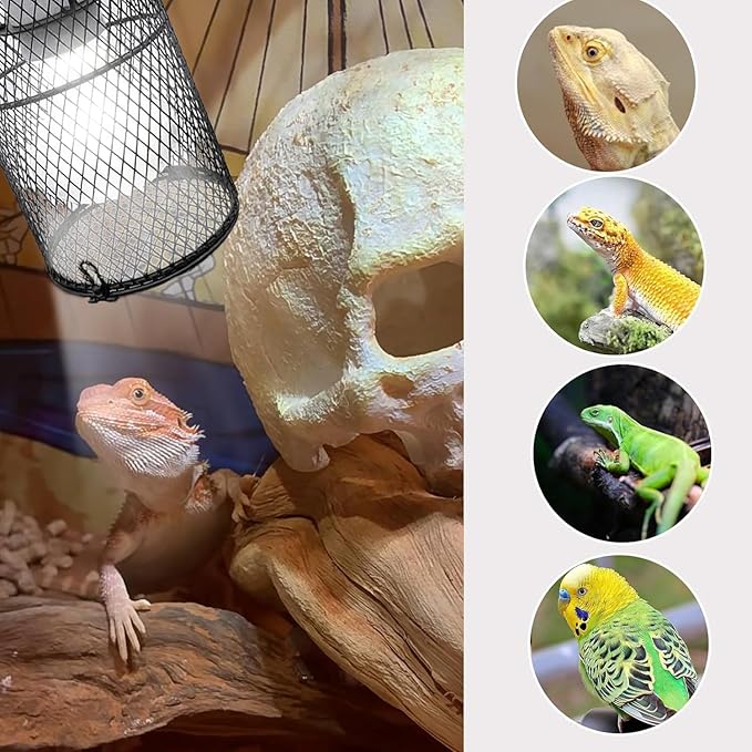Reptile Heat Lamp Guard Ceramic Heat Emitter Basking Heater Lamp Reptile Accessories for Turtle Snakes Lizards Frogs Chicks with Power Switch & Anti-Biting Hanging Hook Design Round Without Bulb 150w