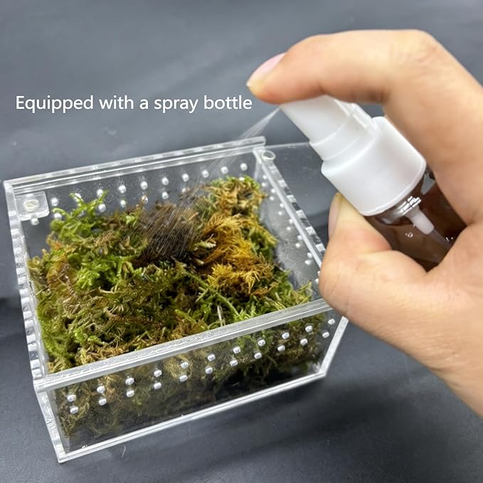 Reptile Breeding Box Small Acrylic Spider Terrarium Tarantula Enclosure Hermit Crab Tank with Terrarium Moss for Scorpion Insect Isopods Invertebrates