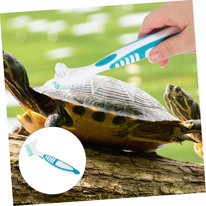 INOOMP 2pcs Aquatic Turtle Shell Cleaning Brush Multi-Functional Mud Remover for Tortoise and Turtle Care Lightweight Design for Easy Use and Efficient Cleaning