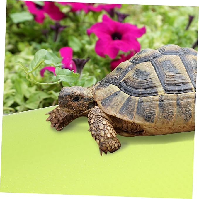 COLLBATH Eva Reptile Mat Substrate Pad for Tank Bedding for Bearded Dragon Gecko Lizard Tortoise Terrarium Supplies