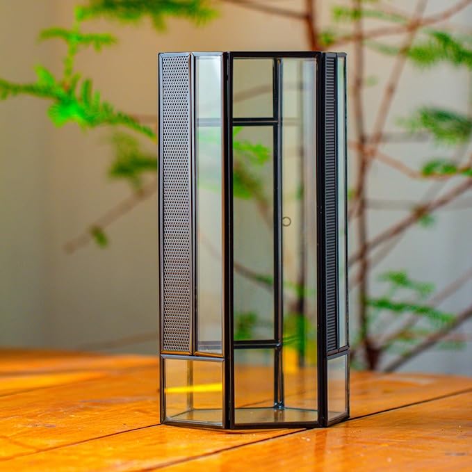 NCYP Small Glass Enclosure Terrarium with Mesh and Door for Spiders - Hexagon Shape Small Mantis Vented Glass Terrarium 4.9'' x 4.3'' x 9.4'', Tabletop Decor, Black (Plants Not Include)