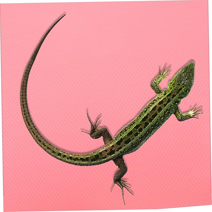 BESPORTBLE Reptile Carpet for Bearded Dragon Snake Turtle Waterproof Terrarium Bedding Mat Reversible Substrate for Lizard Gecko x 2ft Size Compatible Reptile Tanks