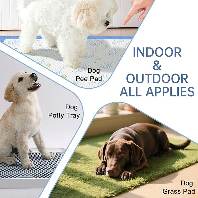 Potty Training Spray for Dogs Dog Potty Training Spray Go Here Dog Potty Training Spray Address Canine Inappropriate Elimination Habits for Indoor & Outdoor Environments (Smoke Blue)