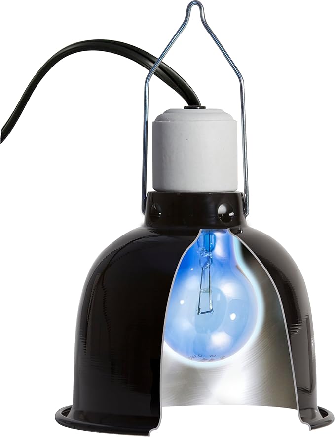 Zoo Med (6 Boxes) 2-Pack Daylight Blue Reptile Bulb, 60-watt