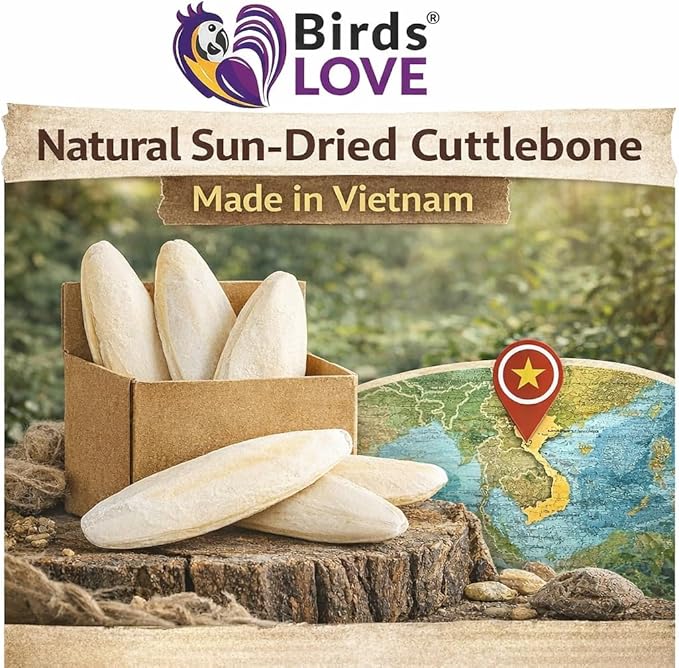 Birds LOVE 5.5-6ā³ Cuttlebones for Birds ā 100% Natural Sun-Dried Calcium Carbonate Mineral Supplement ā for Parakeets, Budgies, Cockatiels, Finches & Canaries ā 4 lb with Holder ā Made in Vietnam