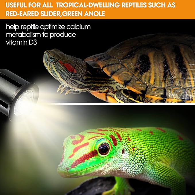 5.5 Inch Reptile Deep Dome Light Fixture 5.0 UVB Reptile Light
