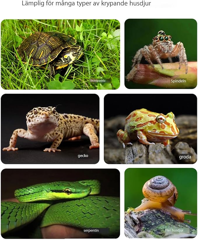 Turtle Water Enclosure | Turtle Pool | Turtle Swimming Pool | Turtle Habitat | Turtle Water Enclosure |Turtle Soaking Pool | Turtle Pool | Turtle Water Feature | Aquatic Turtle Pool | Turtle bask
